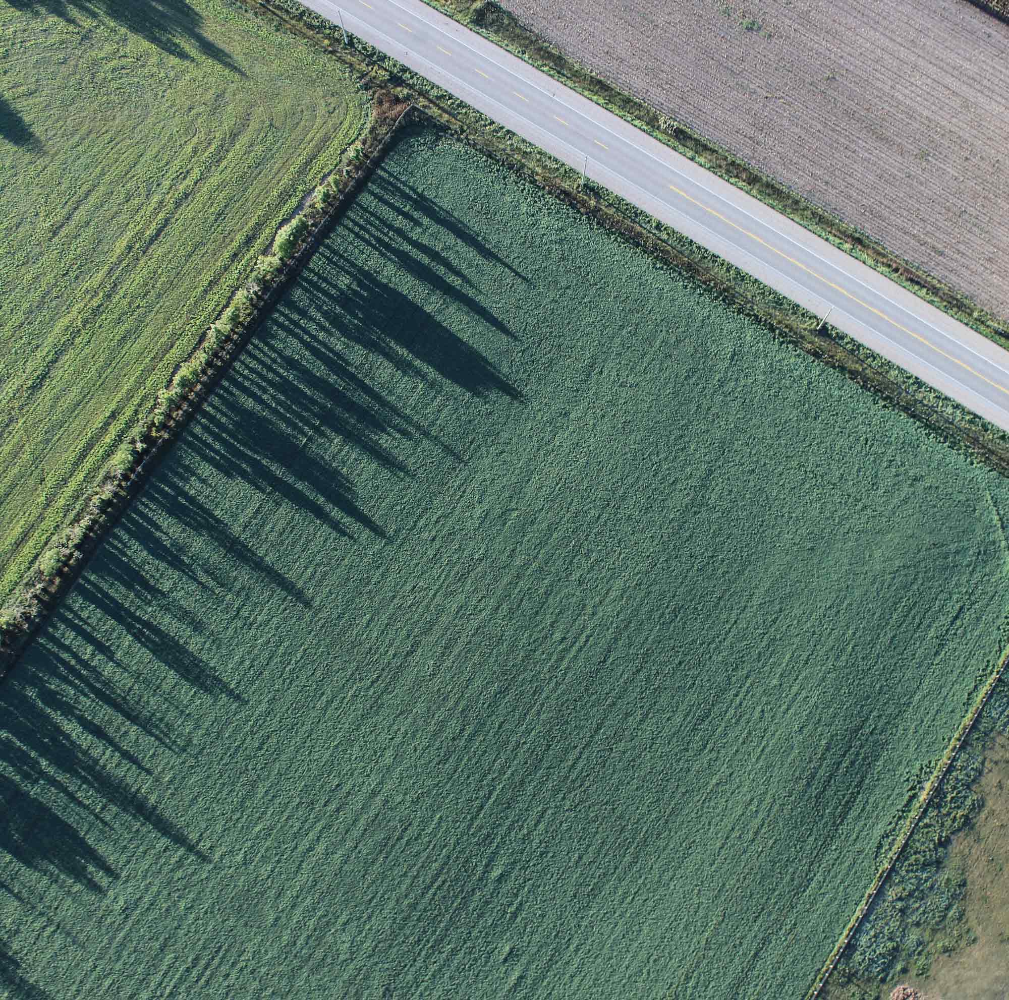 Una vista aérea de un campo. Una carretera atraviesa la esquina superior derecha.