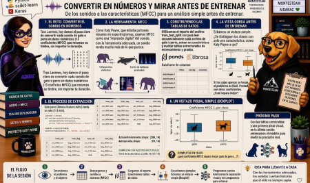 Proyecto Katy Payne — Sesión 2: convertir en números y mirar antes de entrenar