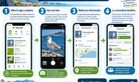 Cómo hacer fotos y subir observaciones a iNaturalist (guía para la Misión 09 del Lince)