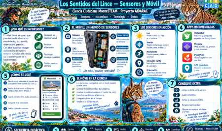 Chismes del Lince 01: Sentidos de lince